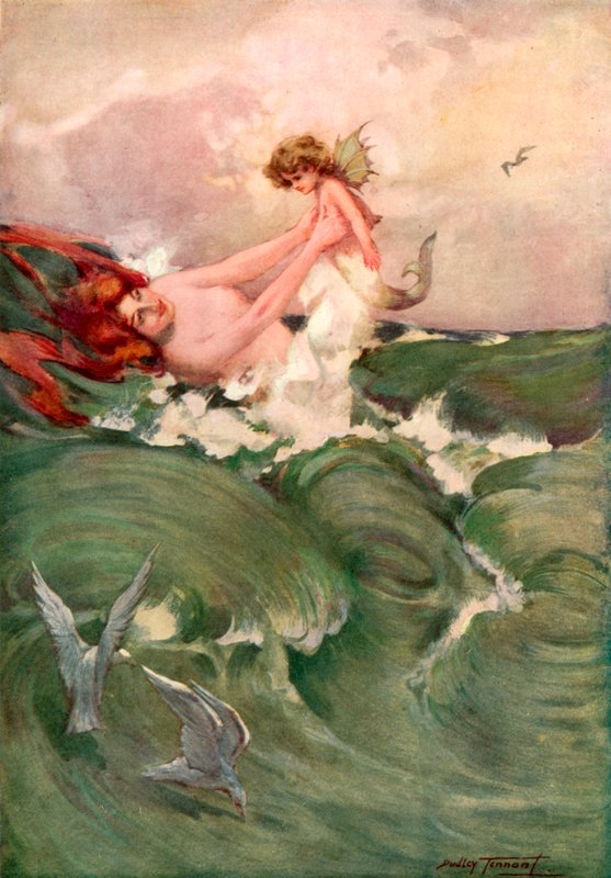 Tantas formas (cor litho) de C. Dudley (after) Tennant