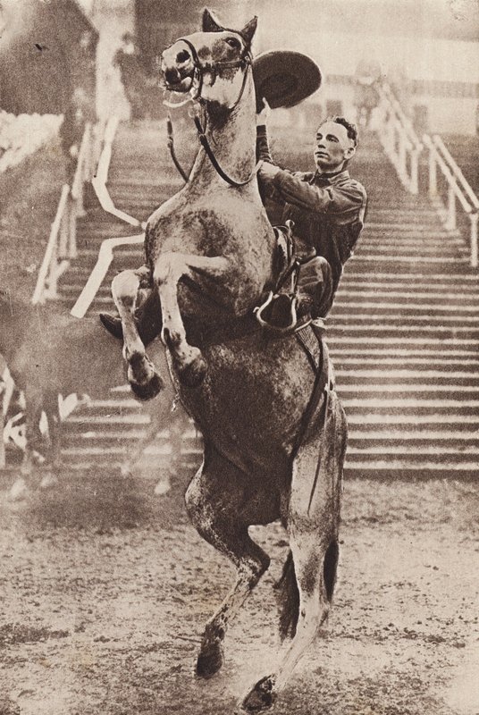Cowboy a controlar um cavalo que se levanta (fotografia a preto e branco) de Canadian Photographer