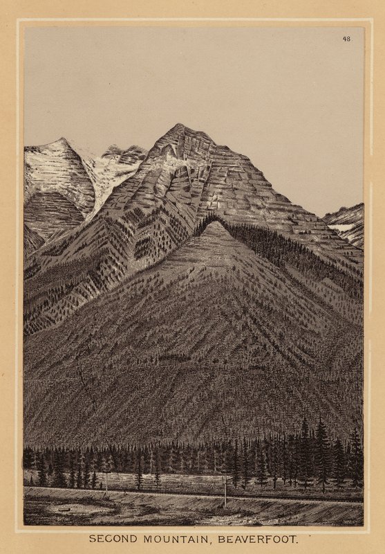 Canadá: Second Mountain, Beaverfoot (litografia) de Canadian School