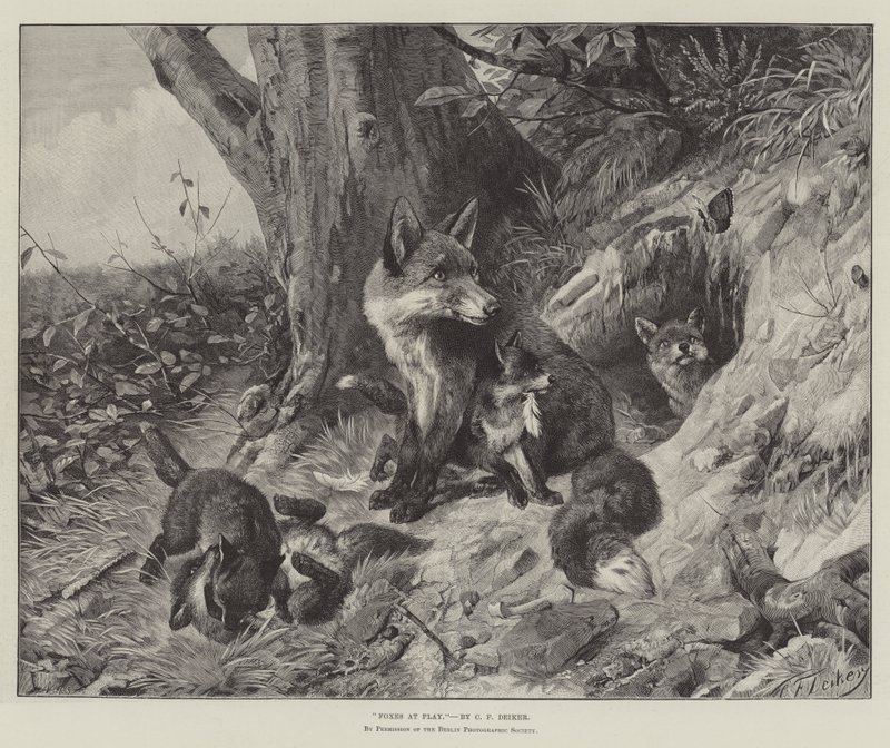 Raposas no jogo de Carl Friedrich Deiker