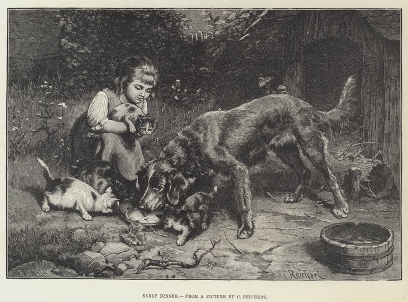 Jantar cedo de Carl Reichert