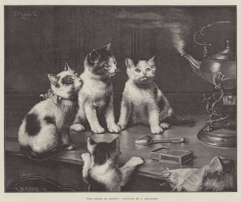 O poder do som de Carl Reichert