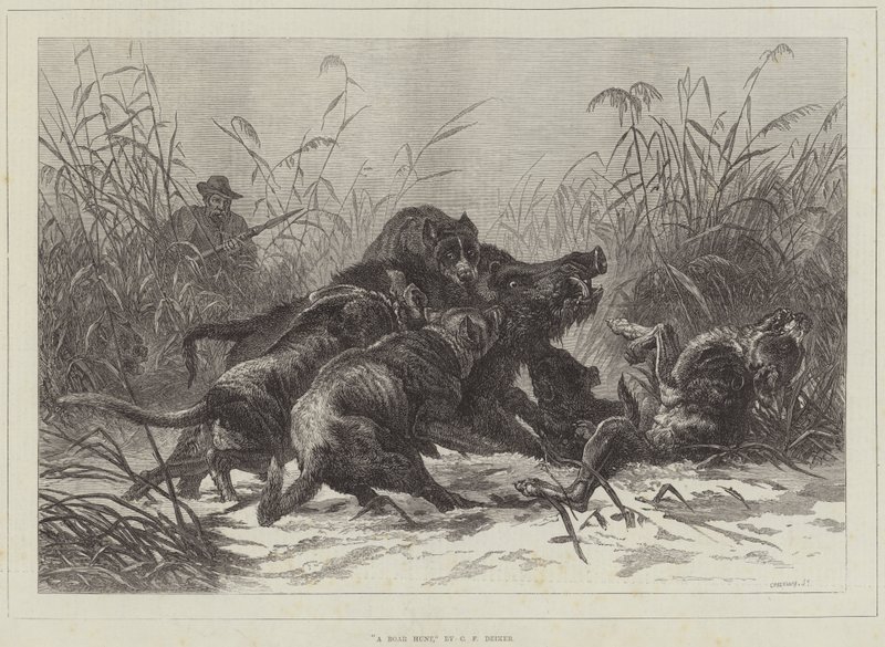 Uma caça ao javali de Carl Friedrich Deiker