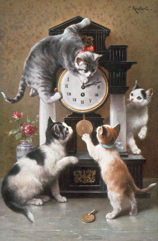 Postal de gato (litografia a cores) de Carl Reichert