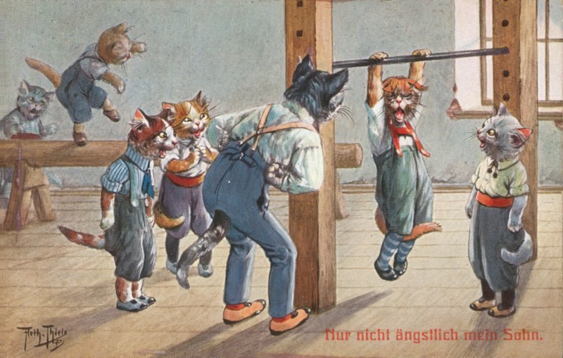 Postal humorístico de um gato (litografia a cores) de Carl Robert Arthur Thiele