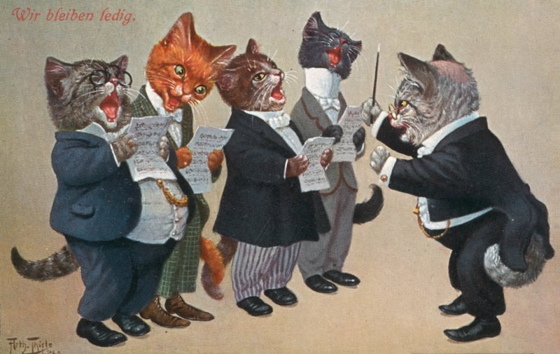 Postal humorístico de um gato (litografia a cores) de Carl Robert Arthur Thiele