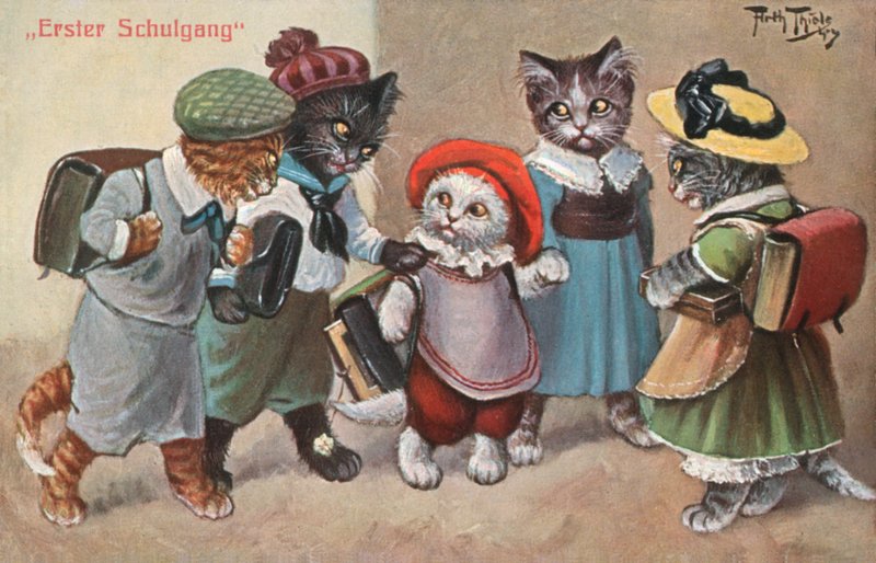 Postal humorístico de um gato (litografia a cores) de Carl Robert Arthur Thiele
