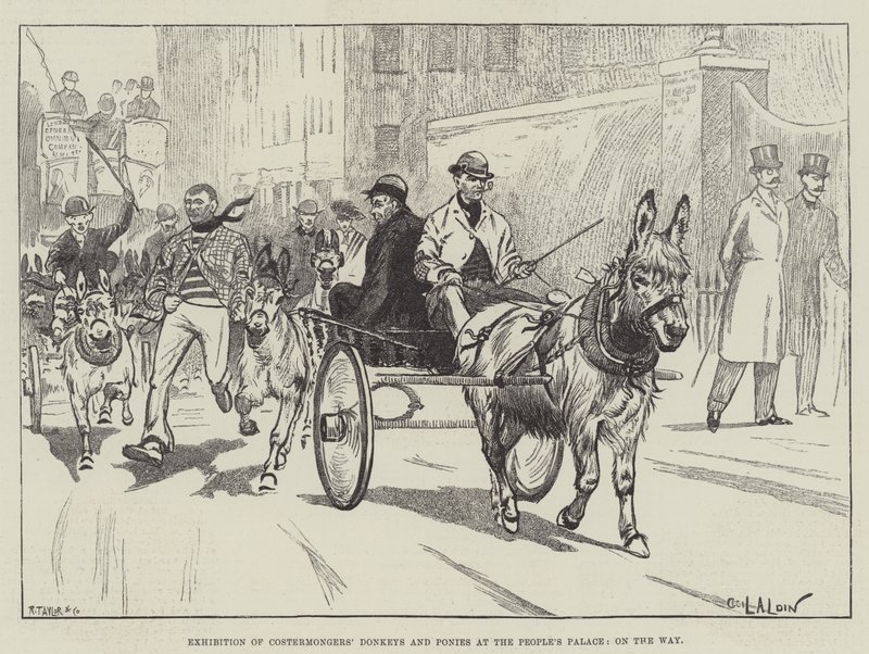 Exposição dos Burros e dos Pôneis dos Costermongers no Palácio do Povo, a caminho de Cecil Charles Windsor Aldin