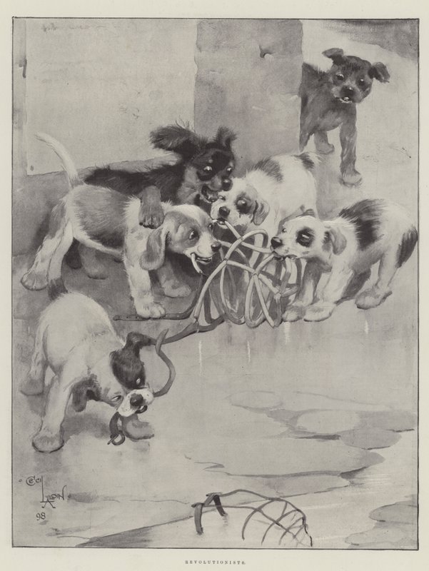 Revolucionários de Cecil Charles Windsor Aldin