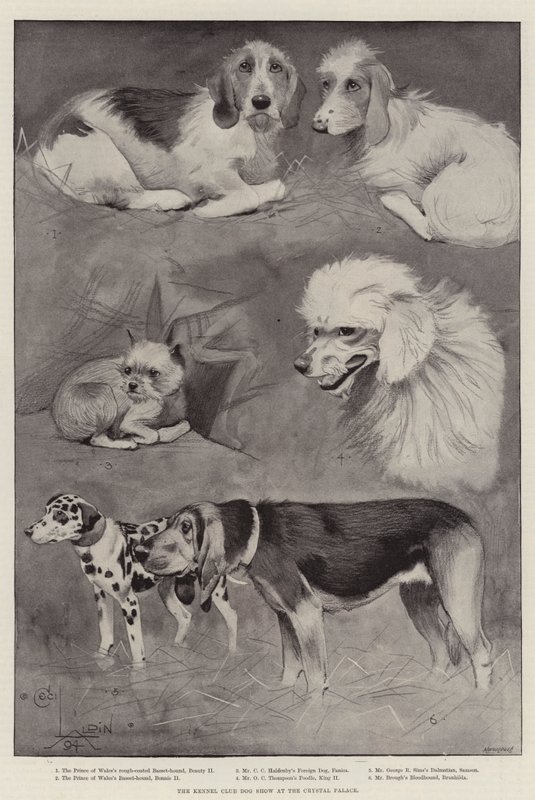 O Kennel Club Dog Show no Palácio de Cristal de Cecil Charles Windsor Aldin