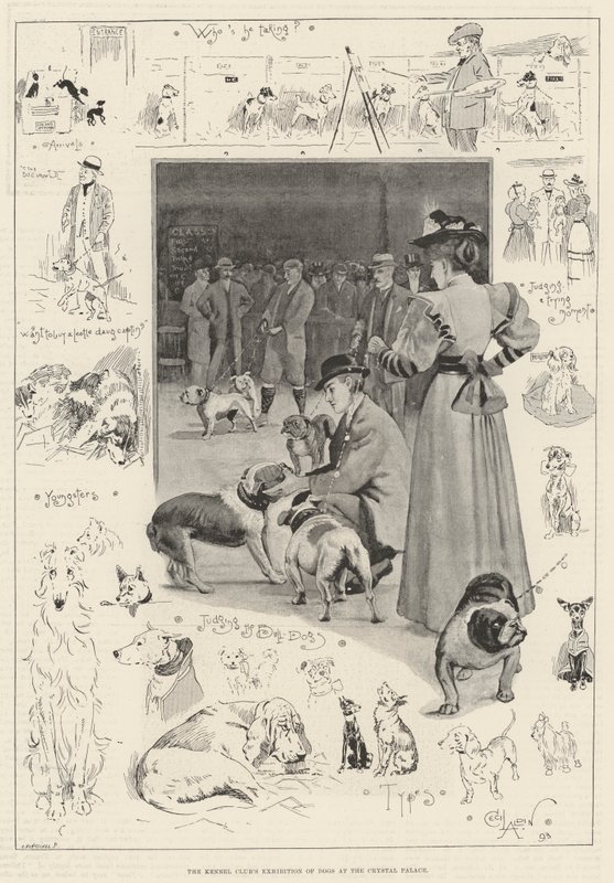 Exposição de cães do Kennel Club no Crystal Palace de Cecil Charles Windsor Aldin