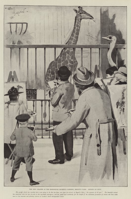 A Nova Girafa nos Jardins da Sociedade Zoológica, Regent&39;s Park, Artistas no Direito de Cecil Charles Windsor Aldin