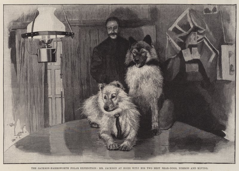 A expedição polar de Jackson-Harmsworth, o Sr. Jackson em casa com seus dois melhores cães-urso, Nimrod e Raving de Cecil Charles Windsor Aldin