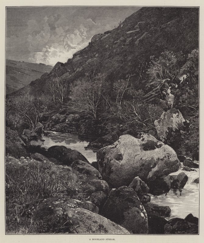 Um riacho Moorland de Charles Auguste Loye