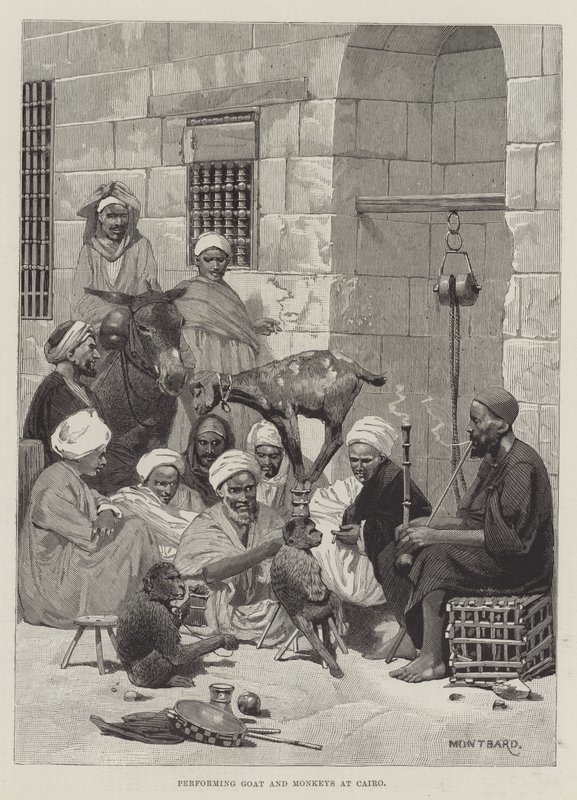 Executando Cabra e Macacos no Cairo de Charles Auguste Loye