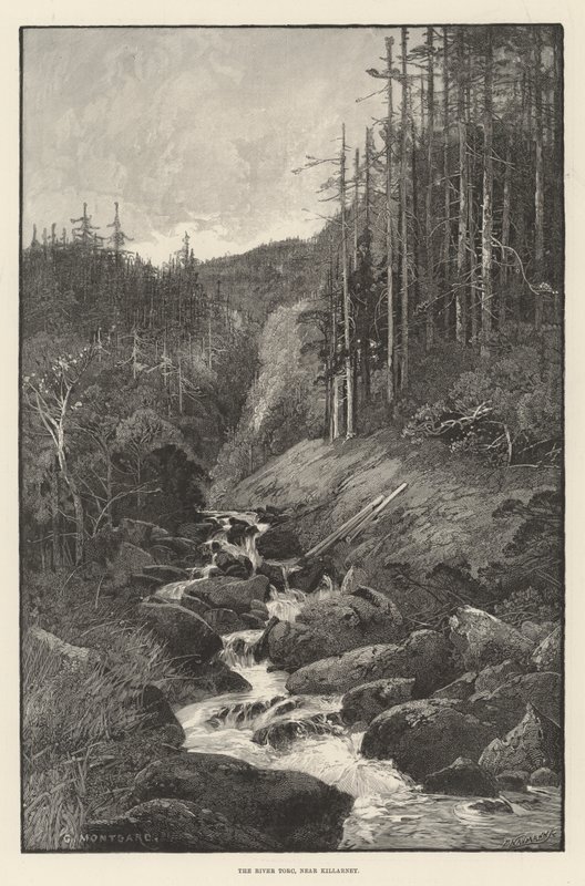 O rio Torc, perto de Killarney de Charles Auguste Loye