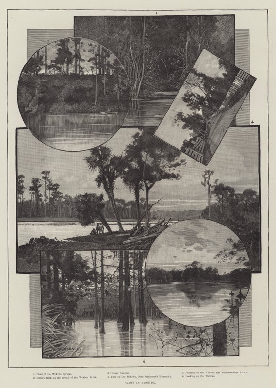 Vistas na Flórida de Charles Auguste Loye