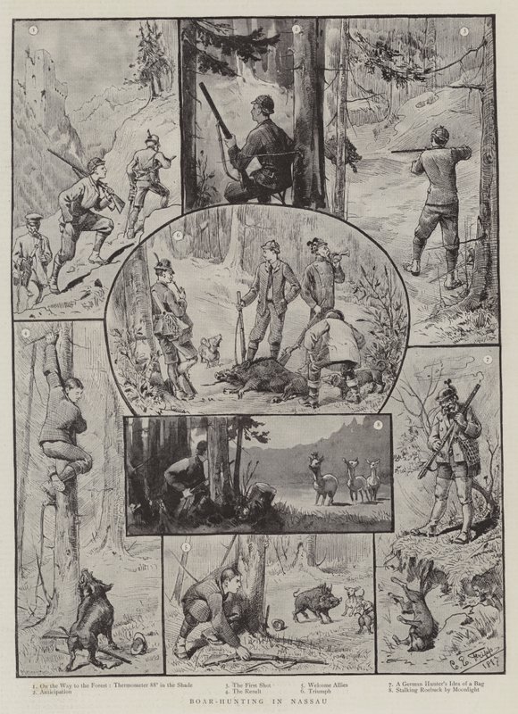 Caça ao Javali em Nassau de Charles Edwin Fripp