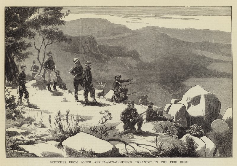 Esboços da África do Sul, Krantz de M&39;Naughten no Peri Bush de Charles Edwin Fripp