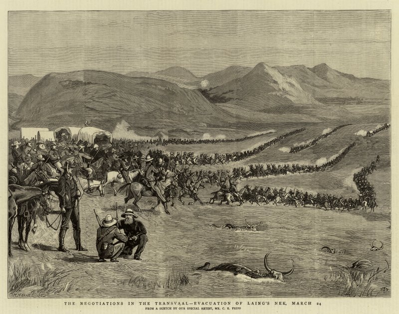 As Negociações no Transvaal, Evacuação do Nek de Laing, 24 de março de Charles Edwin Fripp