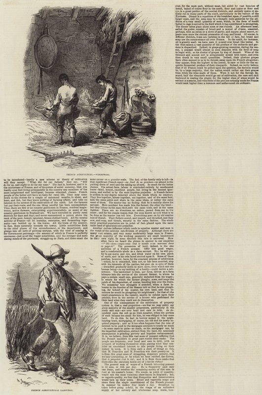 Agricultura na França de Charles Emile Jacque