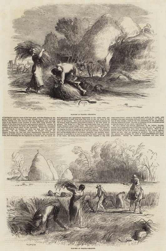 Agricultura na França de Charles Emile Jacque