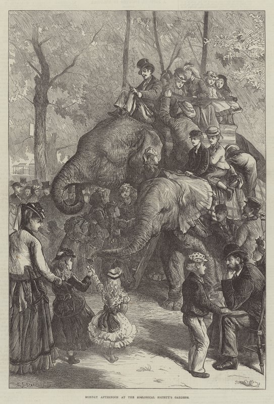 Segunda à tarde nos jardins da Sociedade Zoológica de Charles J. Staniland
