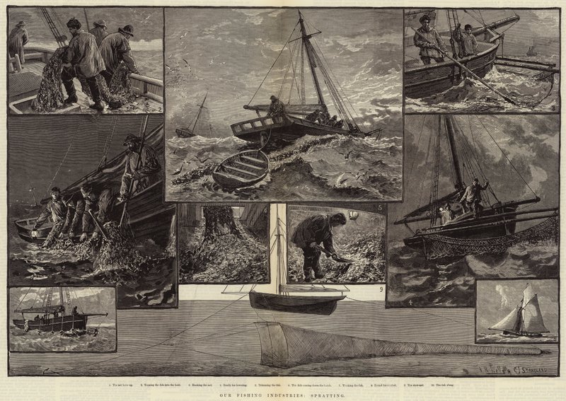 Nossas Indústrias de Pesca, Spratting de Charles J. Staniland