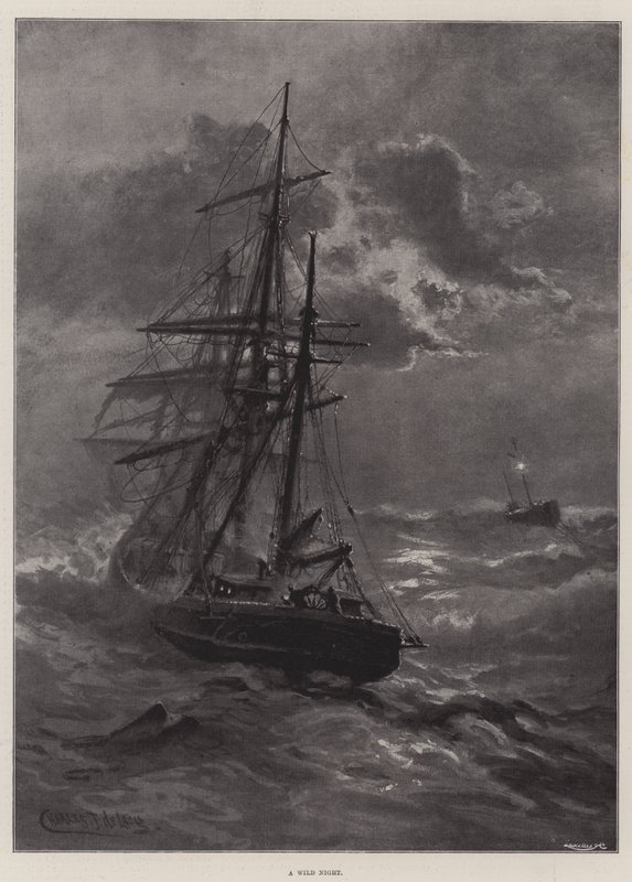 Uma noite selvagem de Charles John de Lacy
