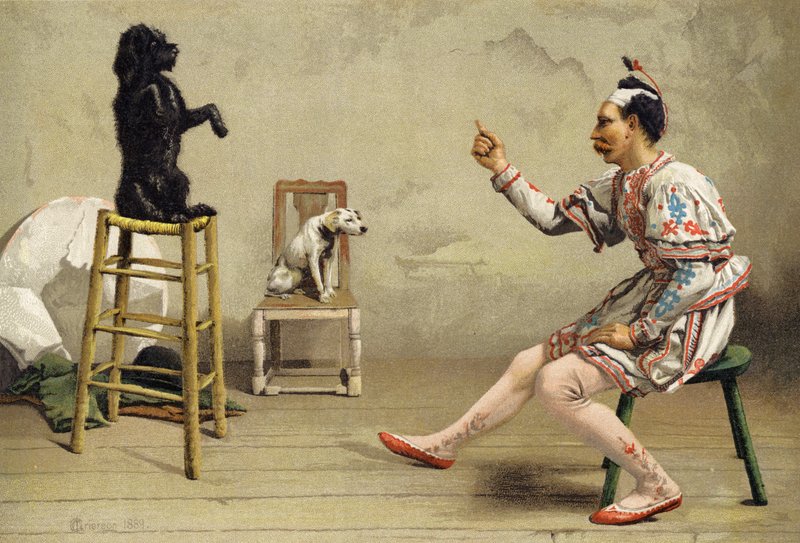 Educação compulsória de Charles MacIvor or MacIver Grierson