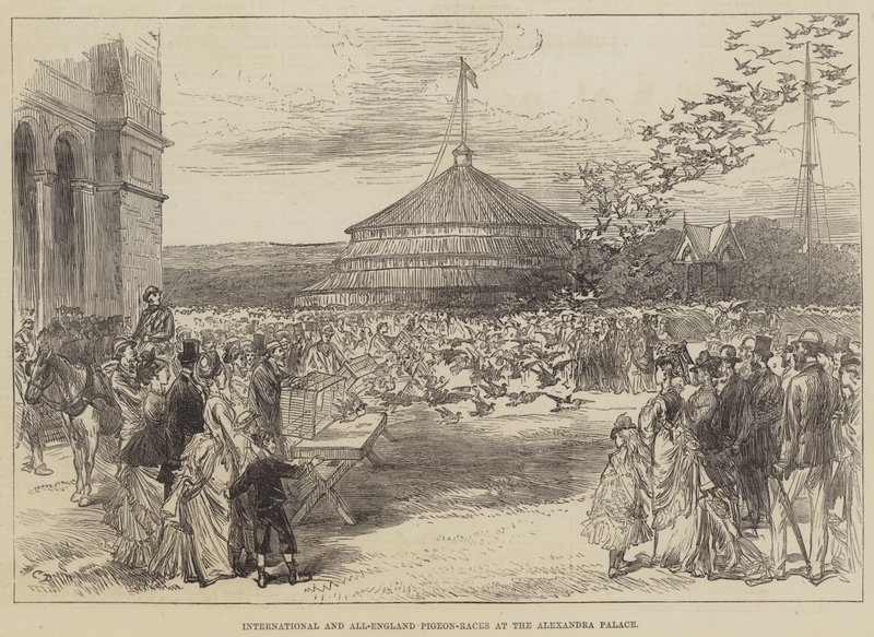 Corridas de pombos internacionais e de toda a Inglaterra no Alexandra Palace de Sir John Charles Robinson