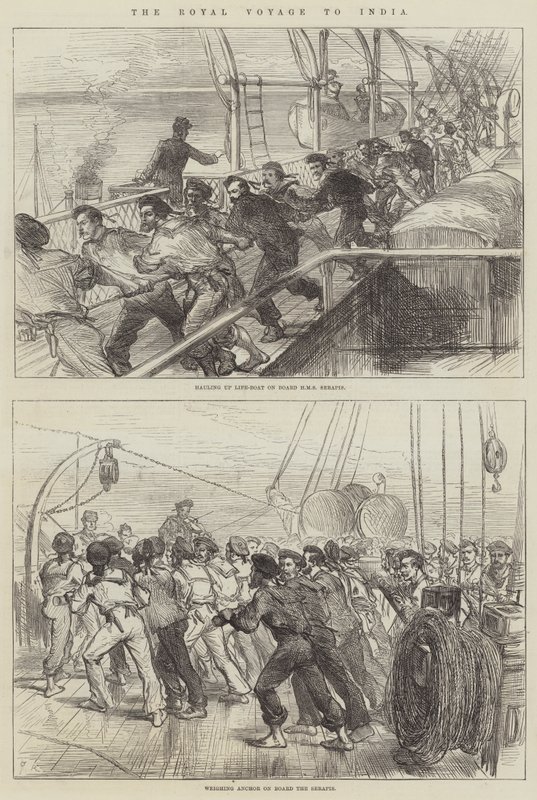 A viagem real à Índia de Sir John Charles Robinson