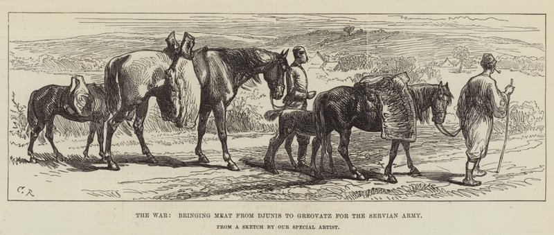 A guerra, trazendo carne de Djunis a Greovatz para o exército dos Servos de Sir John Charles Robinson
