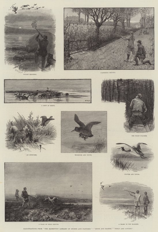 Ilustrações da Biblioteca Badminton de Esportes e Passatempos, Moor and Marsh, Field e Covert de Charles Whymper