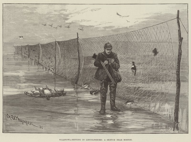 Rede de aves selvagens em Lincolnshire, um esboço perto de Boston de Charles Whymper