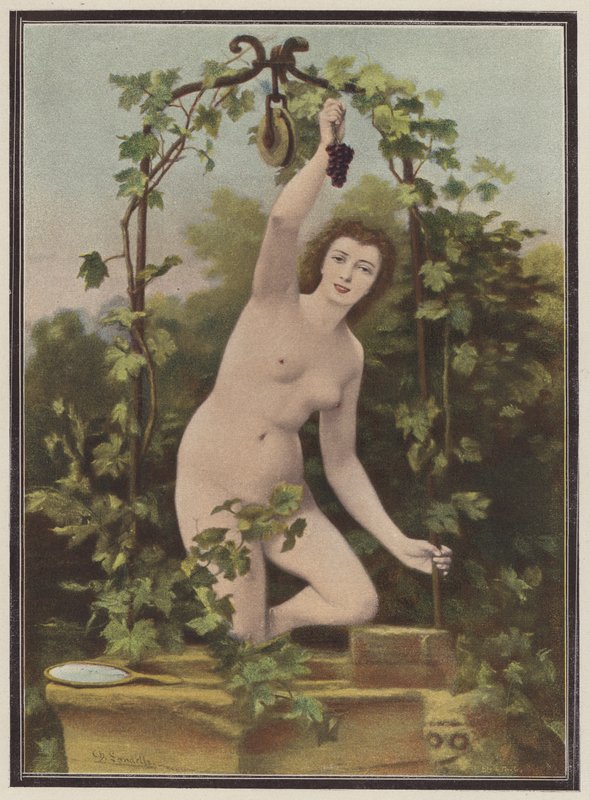 Mulher colhendo uvas de uma videira (lito colorido) de Charles (after) Landelle