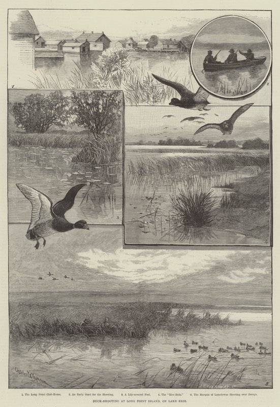 Tiro ao Pato em Long Point Island, no Lago Erie (gravura) de Charles (after) Whymper