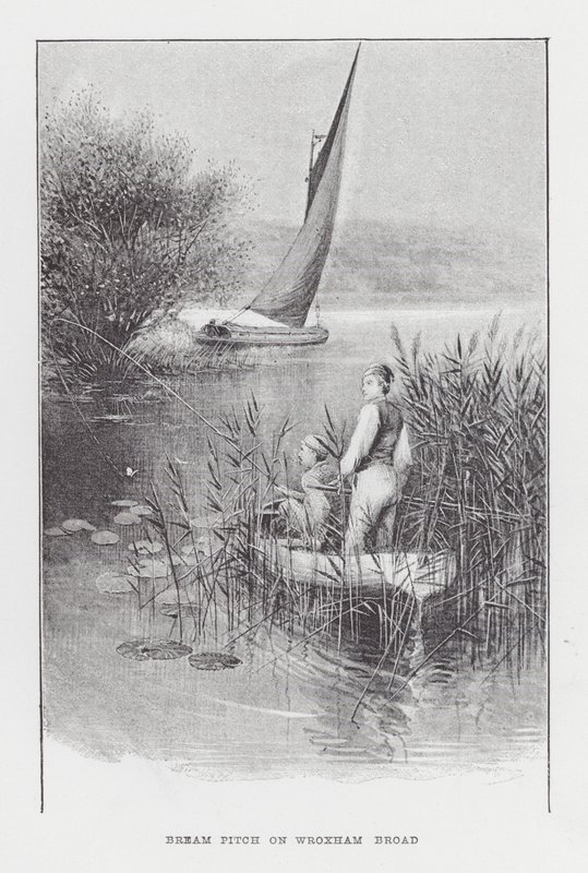 Pesca: Bream Pitch on Wroxham Broad (litho) de Charles (after) Whymper