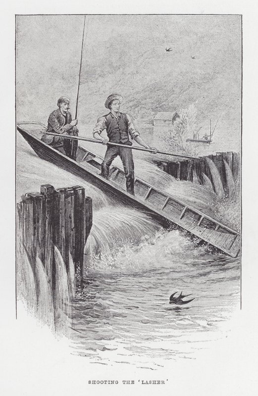 Pesca: Atirar no 