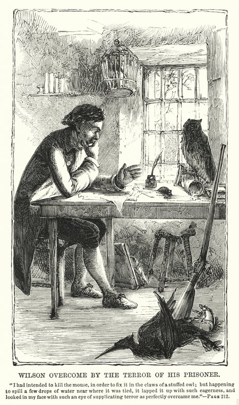 Wilson vencido pelo terror do seu prisioneiro (gravura) de Charles Altamont Doyle