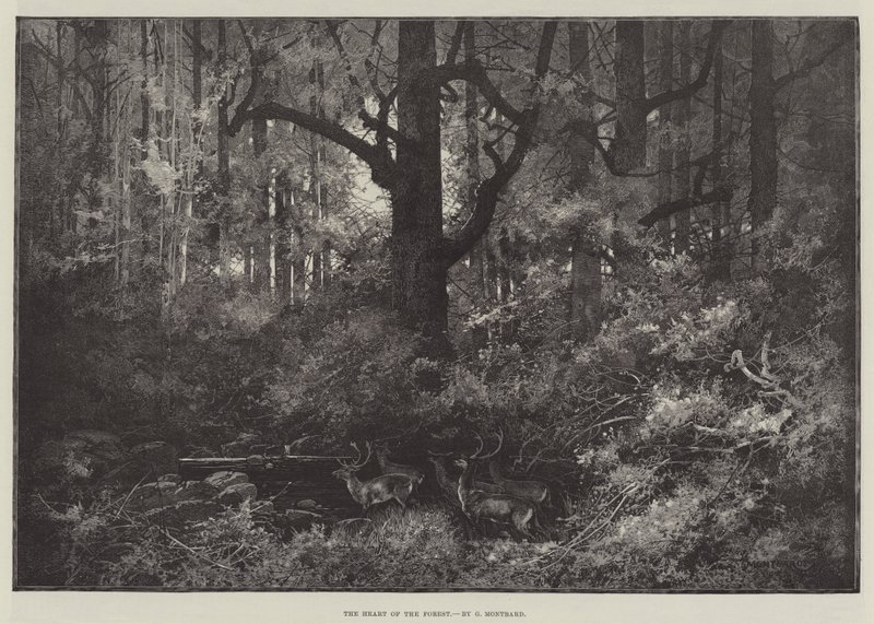 O coração da floresta de Charles Auguste Loye