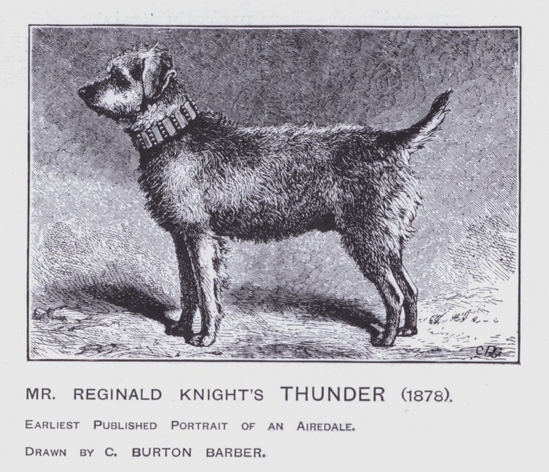 Sr. Reginald Knight