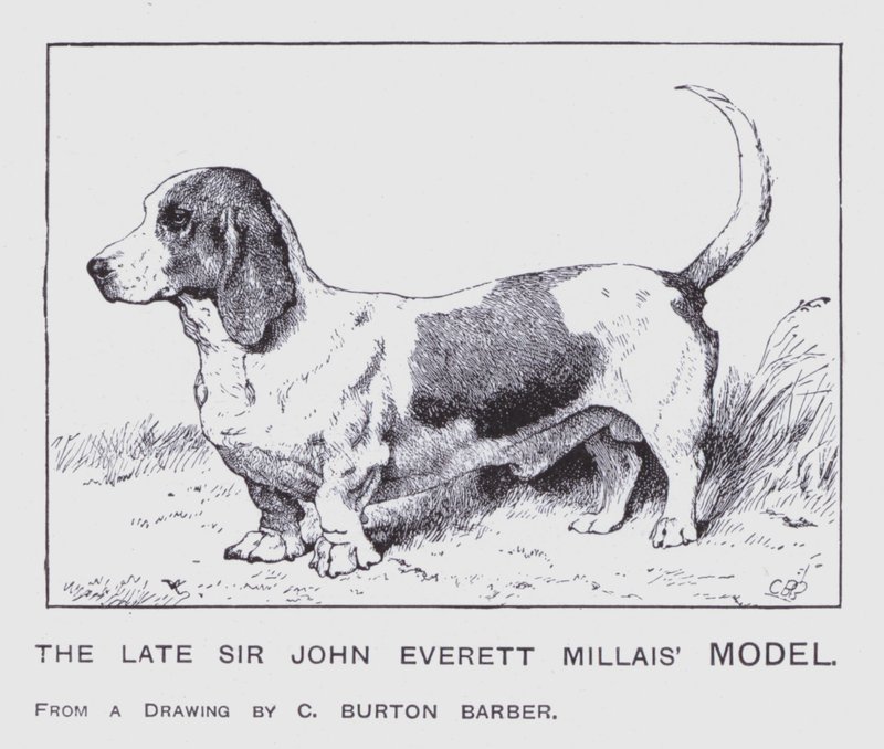 O modelo de Sir John Everett Millais (cor litho) de Charles Burton (after) Barber