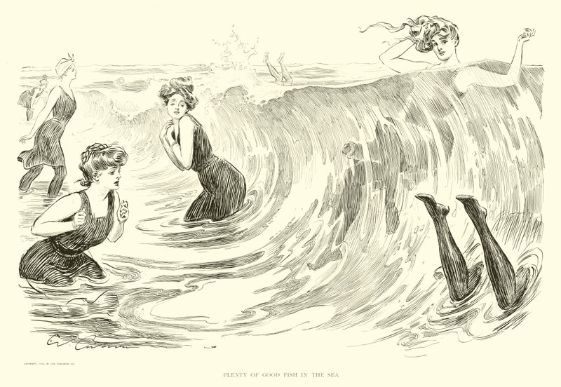Ilustração para a Escada Social (gravura) de Charles Dana Gibson