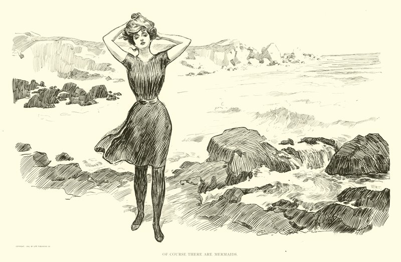 Ilustração para a escada social de Charles Dana Gibson