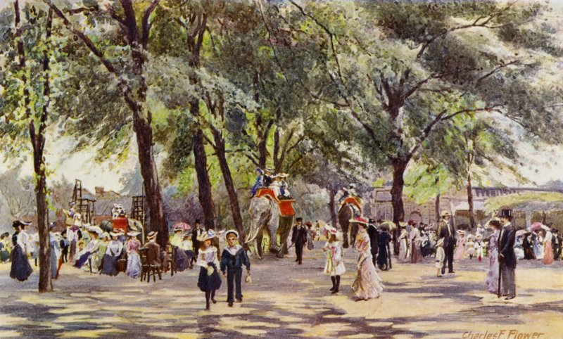 Jardim Zoológico de Londres: Caminhada larga, com Elefantes (cor litho) de Charles Edwin Flower