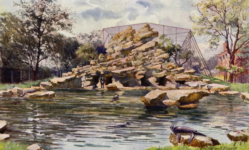 Jardim Zoológico de Londres: Lagoa dos Leões Marinhos (cor litho) de Charles Edwin Flower