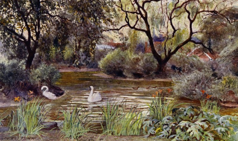 Jardim Zoológico de Londres: Three Island Pond (cor litho) de Charles Edwin Flower
