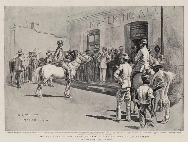 Na estrada para Bulawayo, vendendo cavalos em leilão na Mafeking de Charles Edwin Fripp