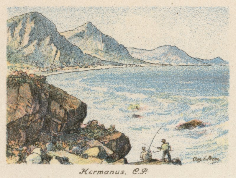 África do Sul: Hermanus, CP (litografia a cores) de Charles Ernest Peers